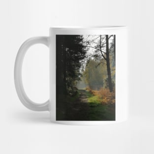 Forest Path in Fall Mug